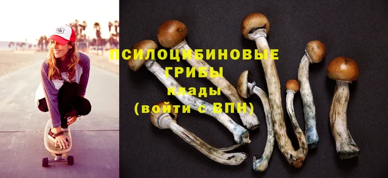 Галлюциногенные грибы MAGIC MUSHROOMS  Зуевка 